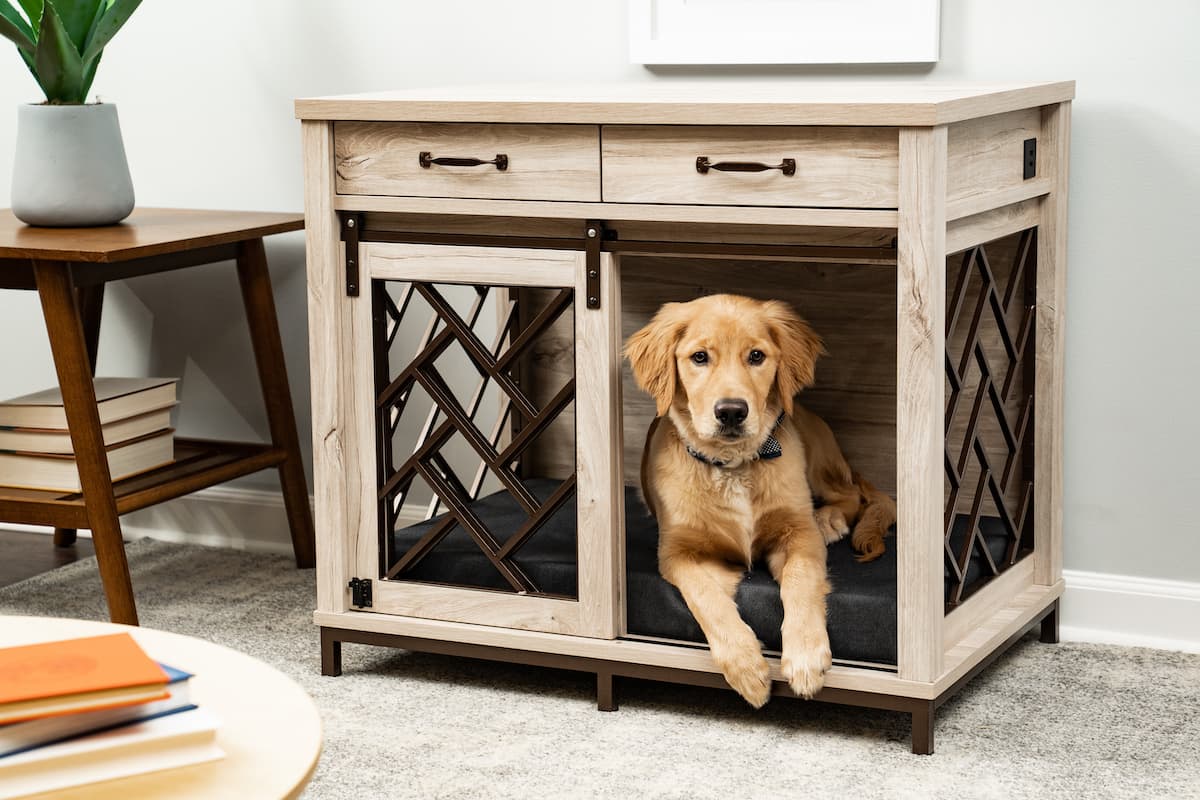 Overstock dog 2024 crate